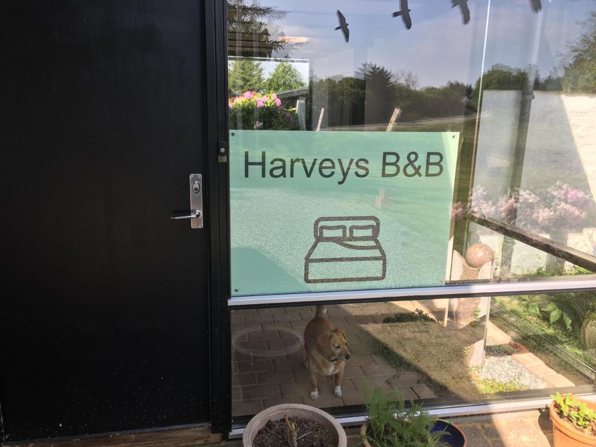 Harvey'S Bed & Breakfast Hjørring Exterior foto